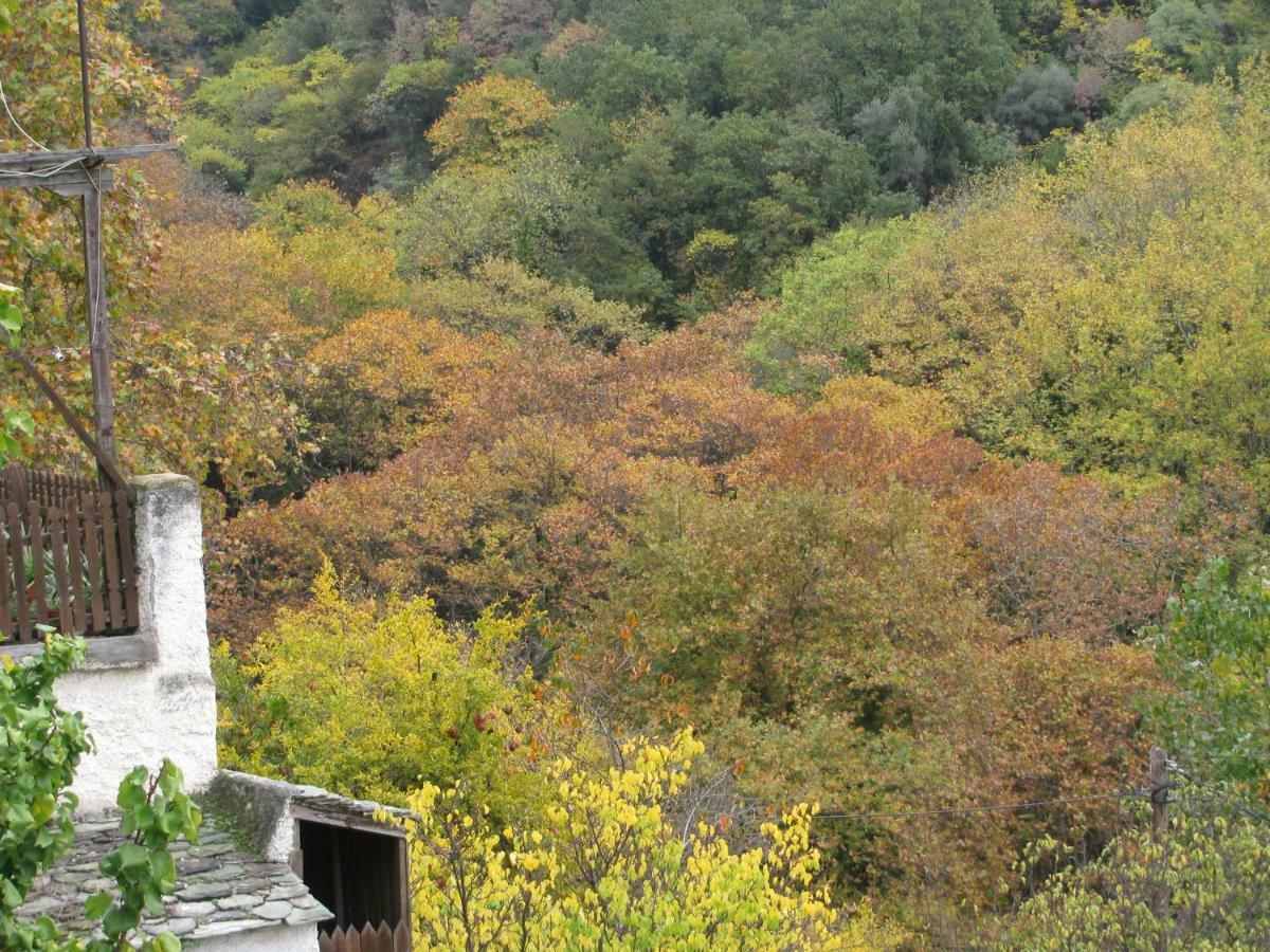 Koukourava Garden Vila Makrinitsa Exterior foto
