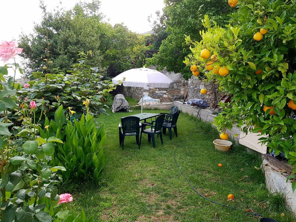 Koukourava Garden Vila Makrinitsa Exterior foto
